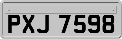 PXJ7598