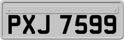 PXJ7599