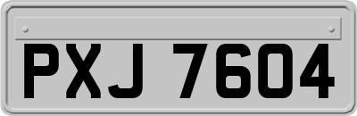 PXJ7604