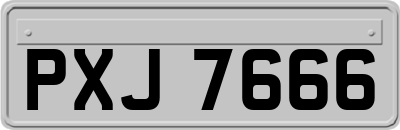 PXJ7666