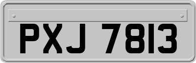 PXJ7813