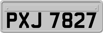 PXJ7827