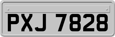 PXJ7828