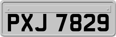 PXJ7829