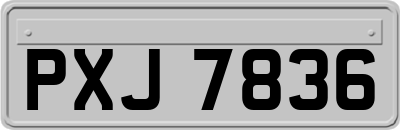 PXJ7836