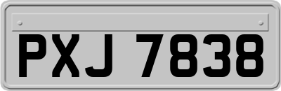 PXJ7838