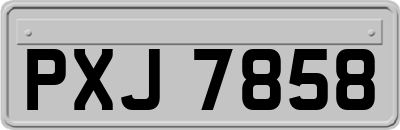 PXJ7858