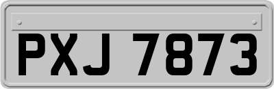 PXJ7873