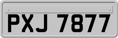 PXJ7877