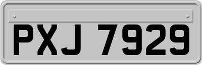 PXJ7929