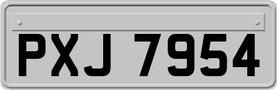 PXJ7954