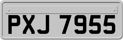 PXJ7955