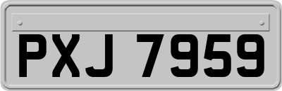 PXJ7959