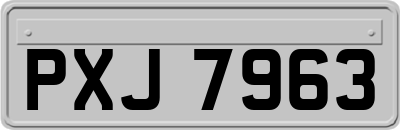 PXJ7963