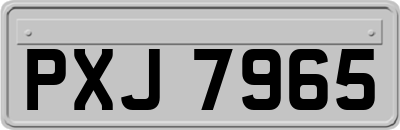 PXJ7965