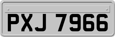 PXJ7966