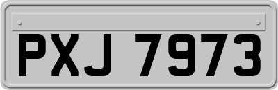 PXJ7973