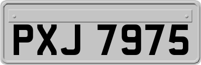 PXJ7975