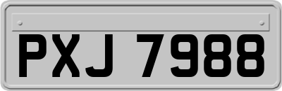 PXJ7988