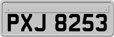 PXJ8253