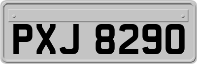 PXJ8290