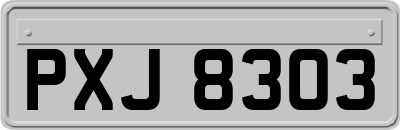 PXJ8303