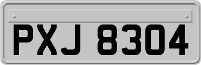 PXJ8304