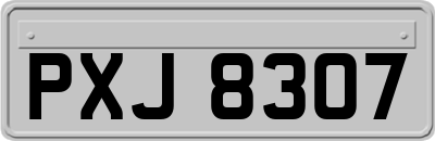 PXJ8307