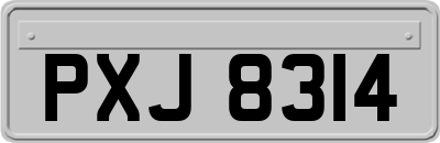 PXJ8314