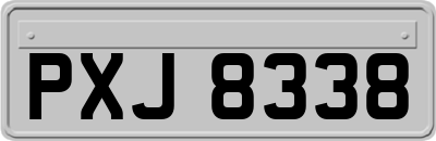 PXJ8338