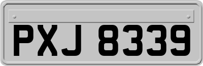 PXJ8339