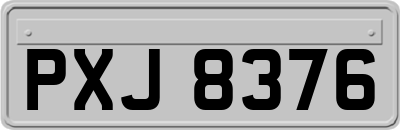 PXJ8376