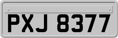 PXJ8377