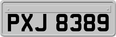 PXJ8389