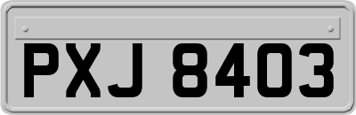 PXJ8403