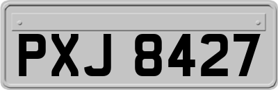 PXJ8427