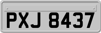 PXJ8437