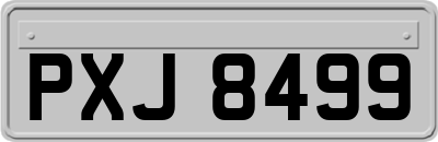 PXJ8499