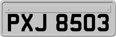 PXJ8503