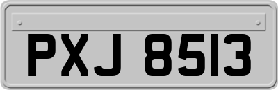 PXJ8513