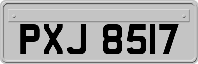 PXJ8517