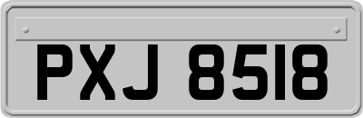 PXJ8518