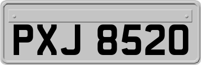 PXJ8520