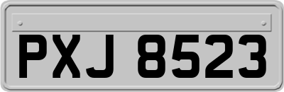 PXJ8523