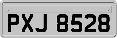 PXJ8528