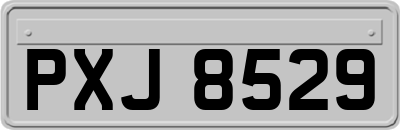 PXJ8529