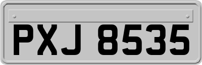 PXJ8535