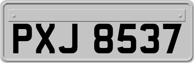 PXJ8537