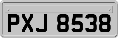 PXJ8538