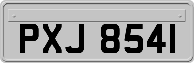 PXJ8541